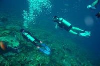 Bonaire Tauchen,  scuba diving, bucear, melguhor, dyking, duiken